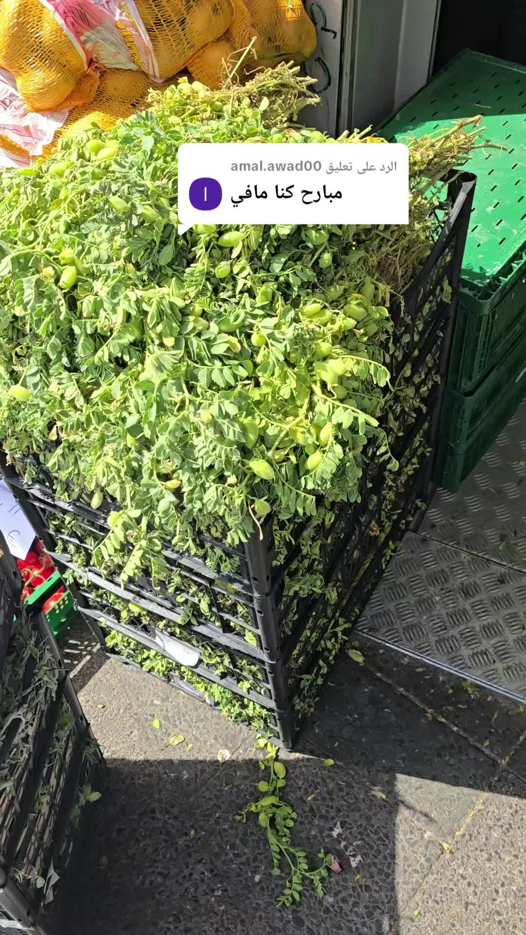 @ALMADINA_SUPERMARKT