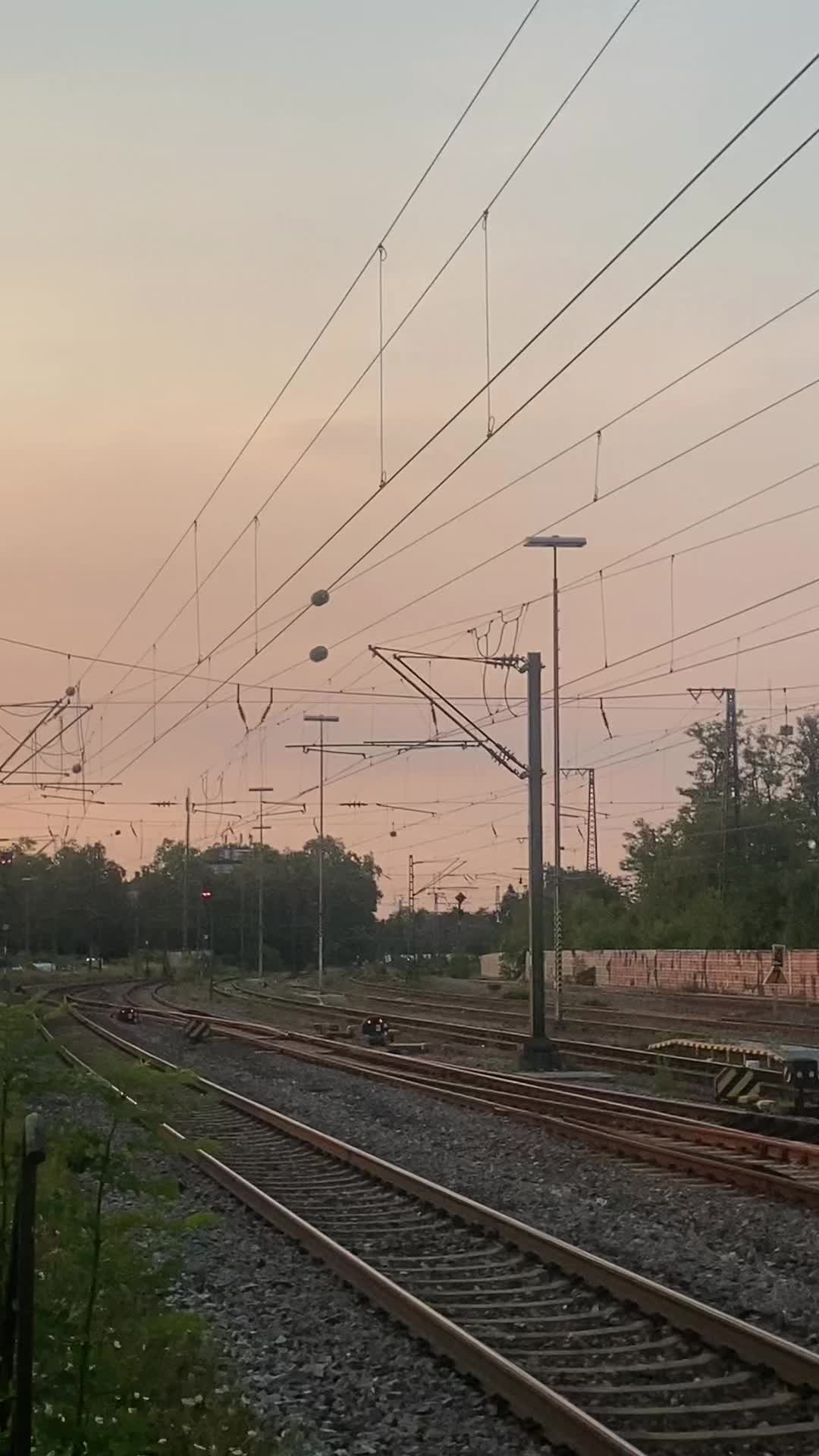 @trainspotterlevi
