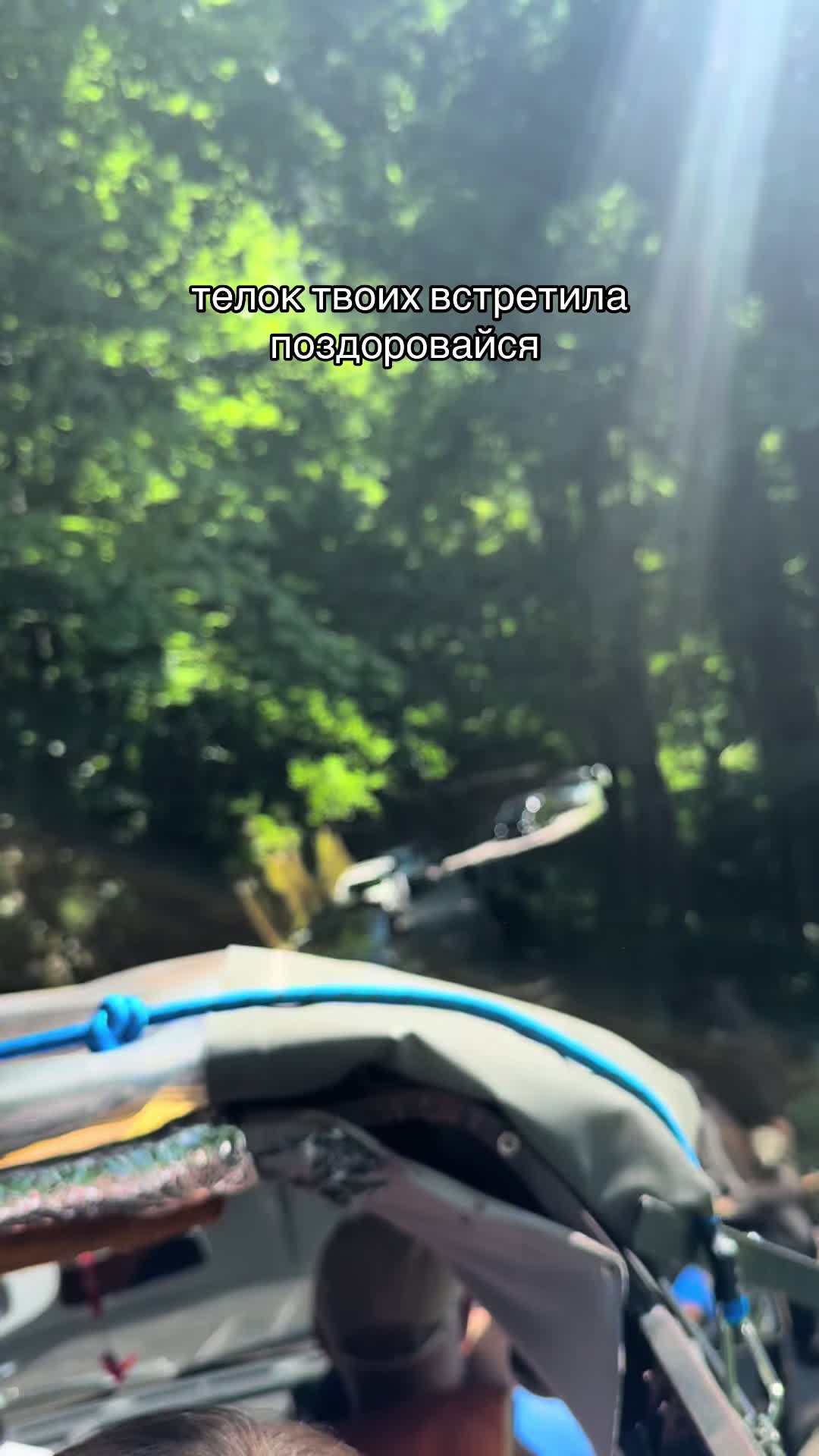 @леруся :3