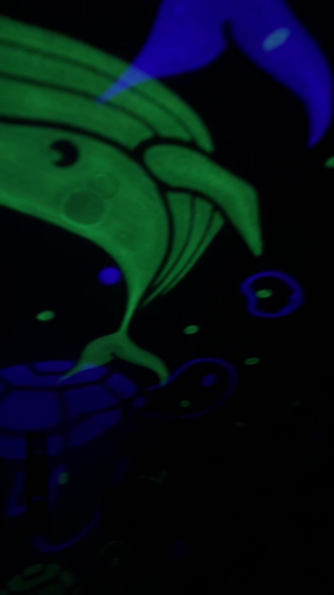 @Candice Lynn