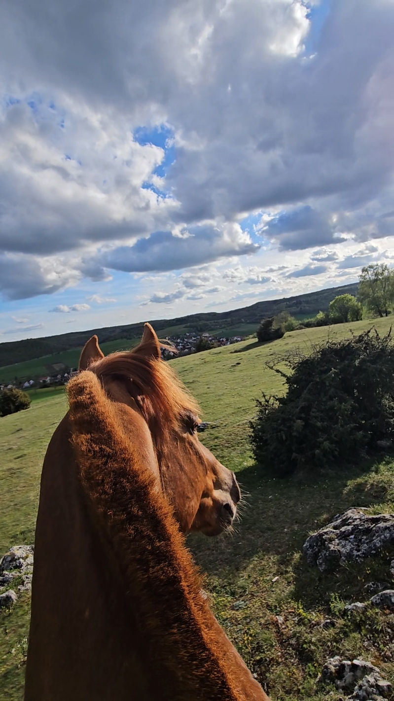 @Ani👩🏼🌾