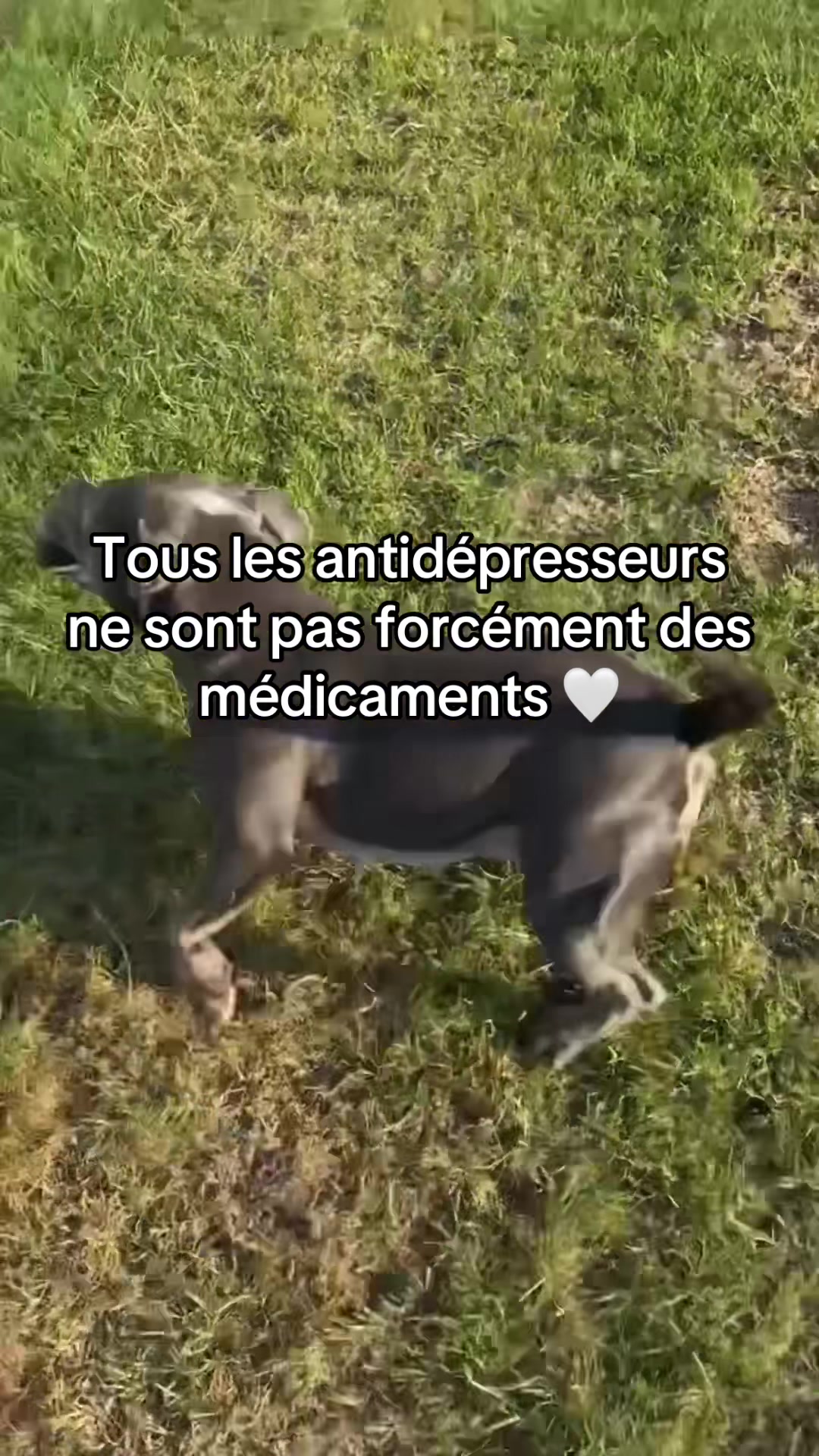 @🌺إنولا