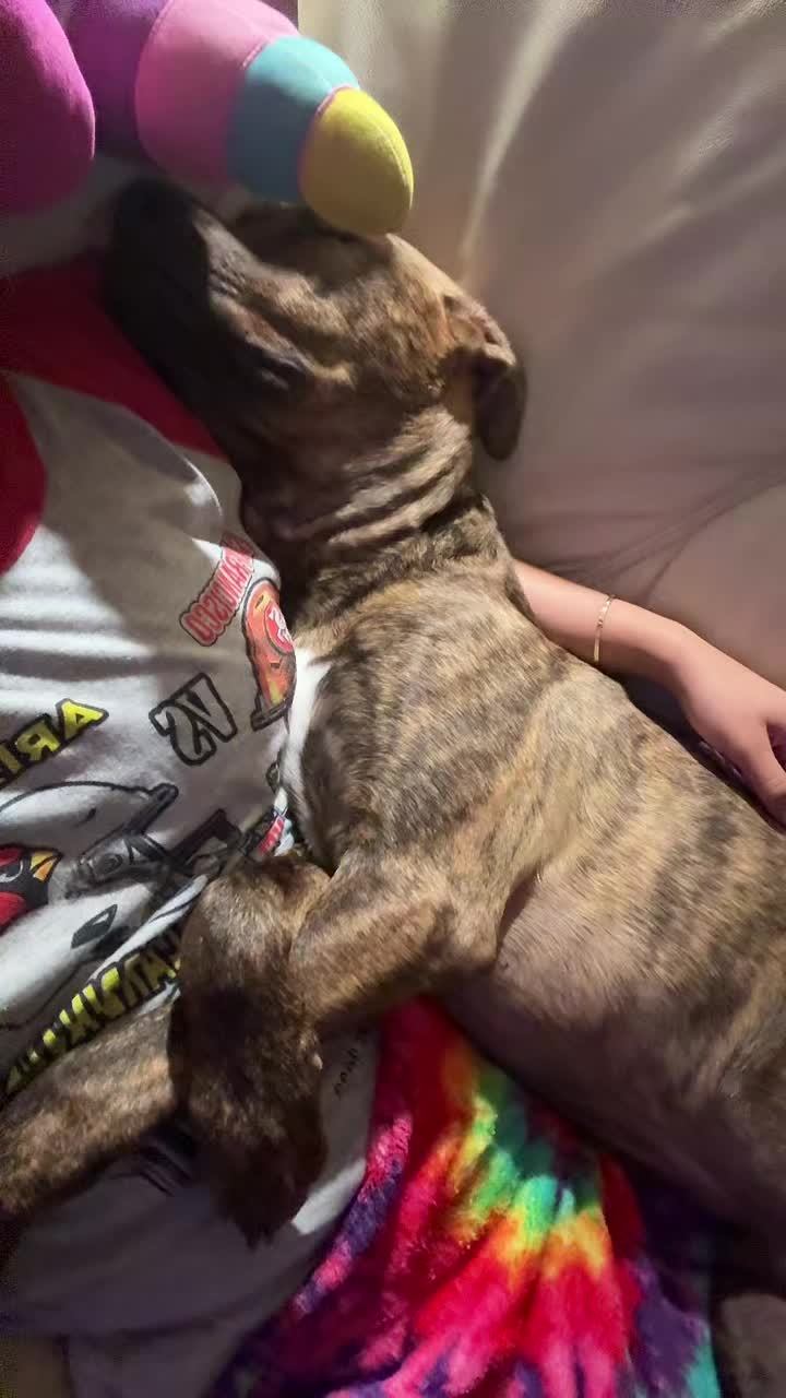 @:*