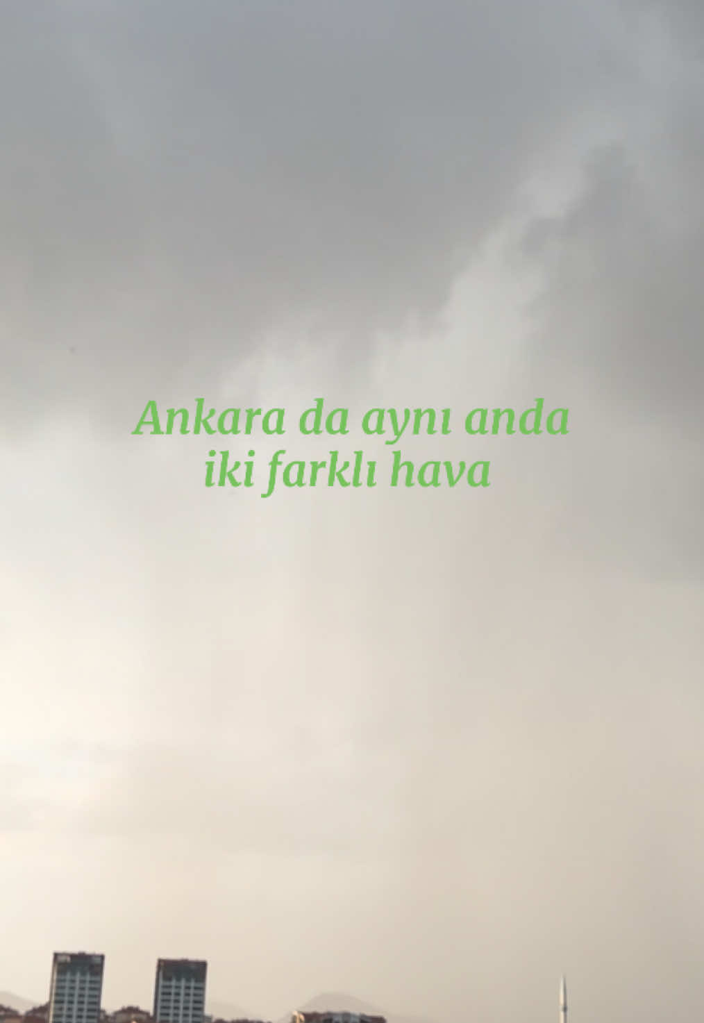 @asmreldaa