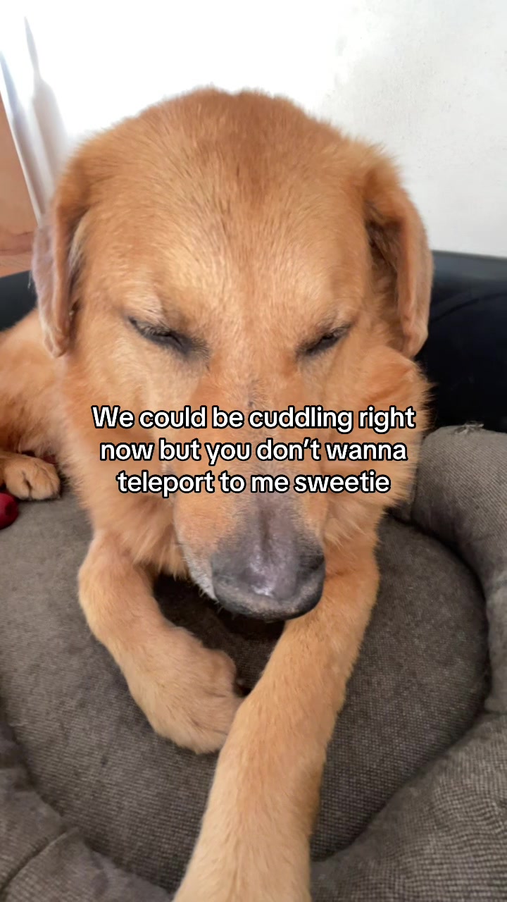 @Neo