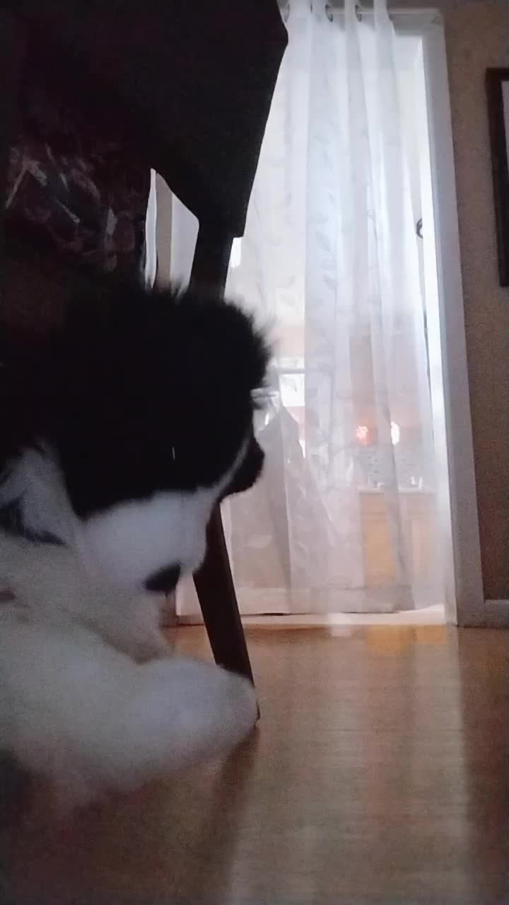 @ТГК @Jax_cat