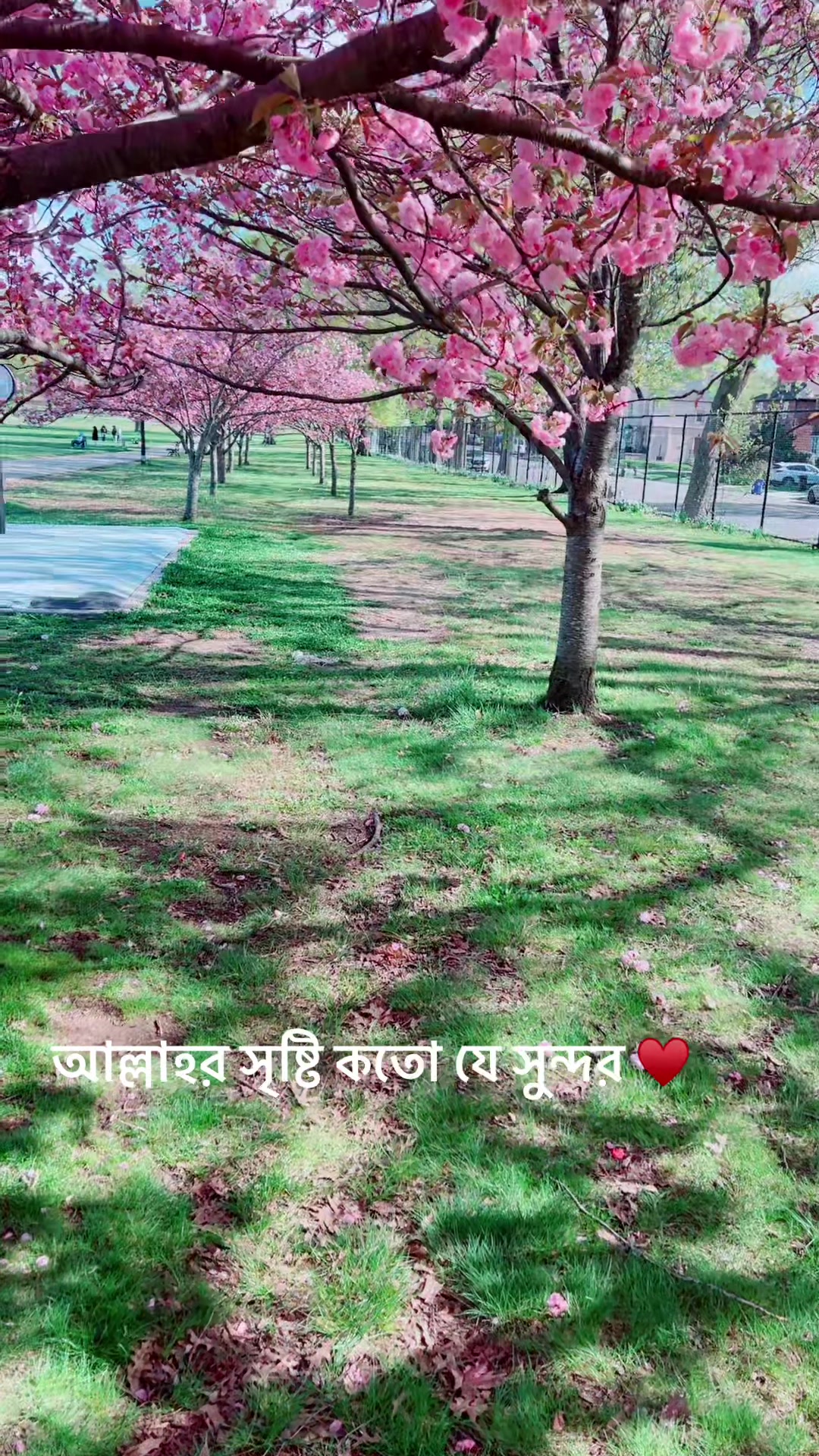 @Alagfashion