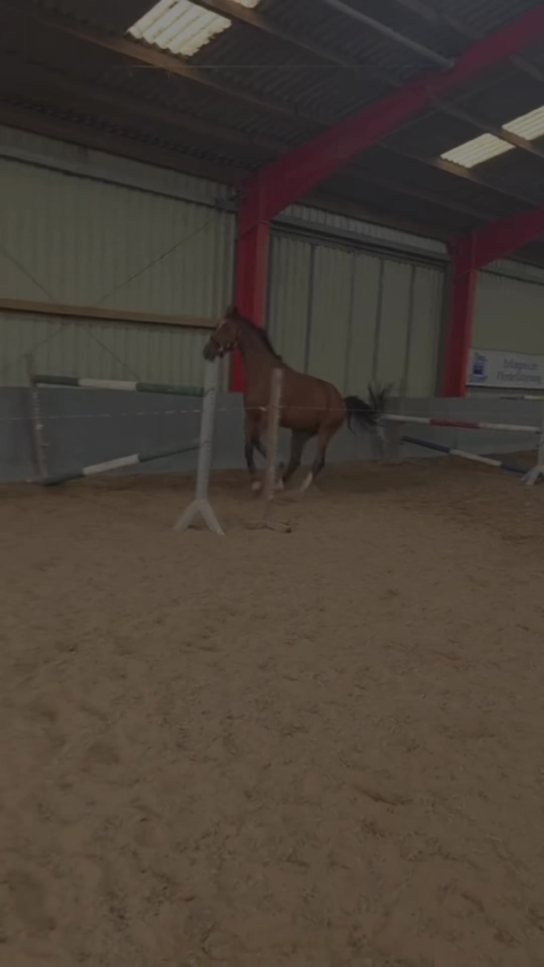 @laura_equestrian25