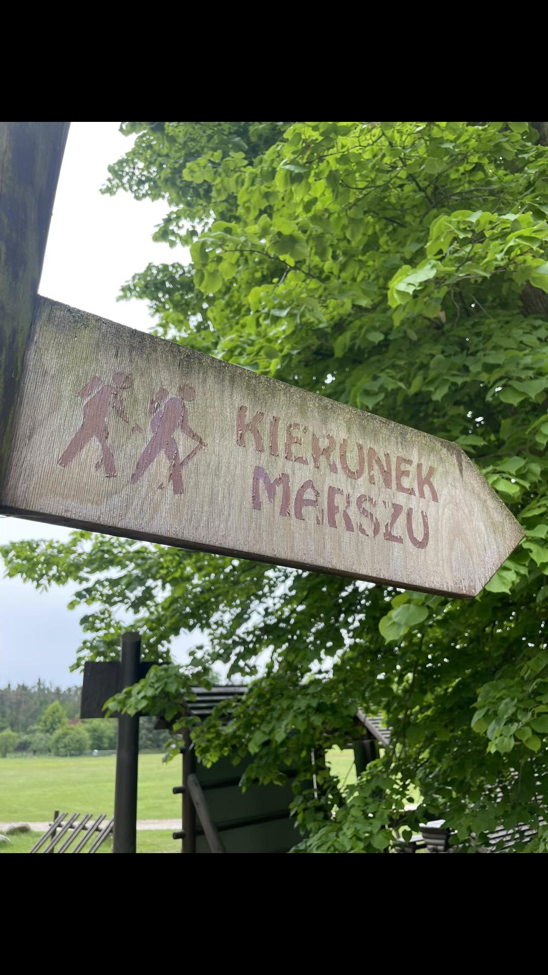 @KAZNODZIEJA