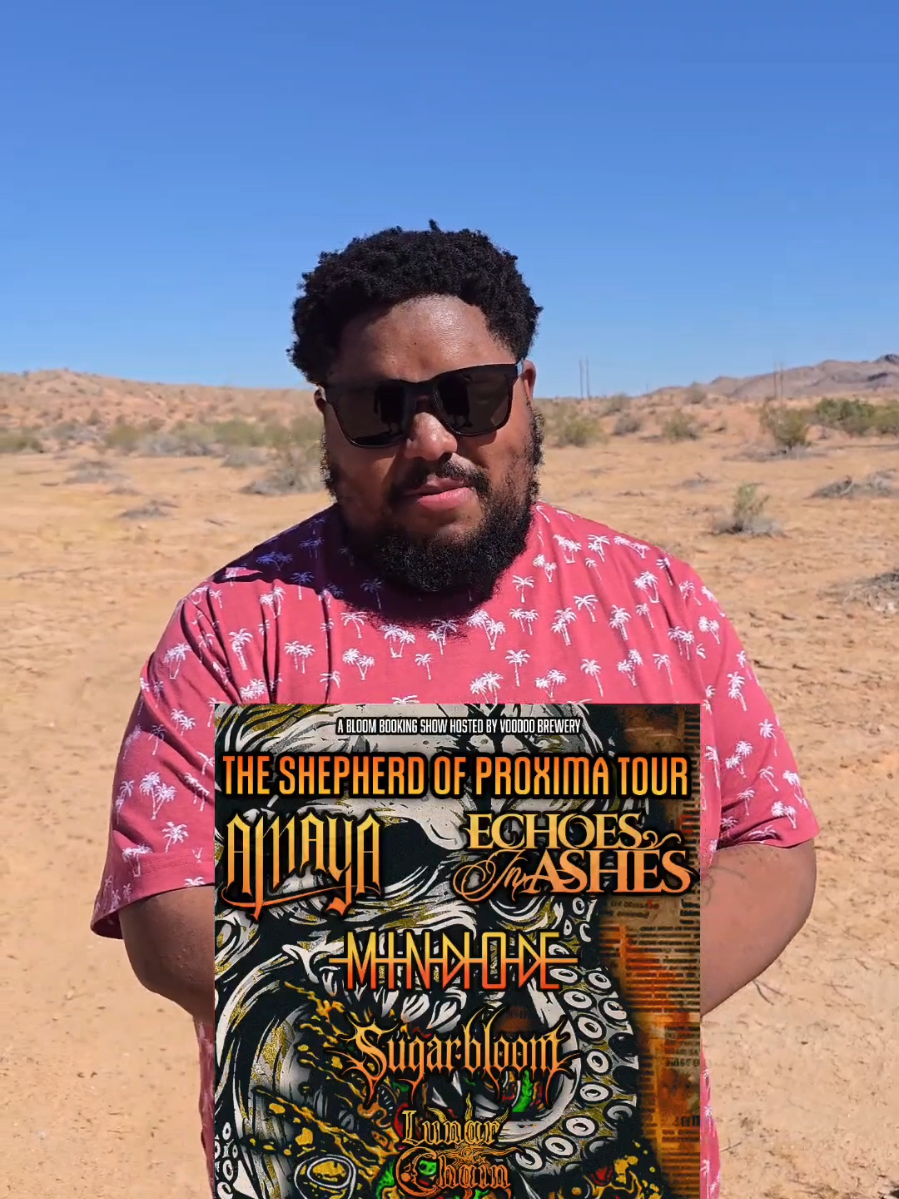 @Echoes In Ashes