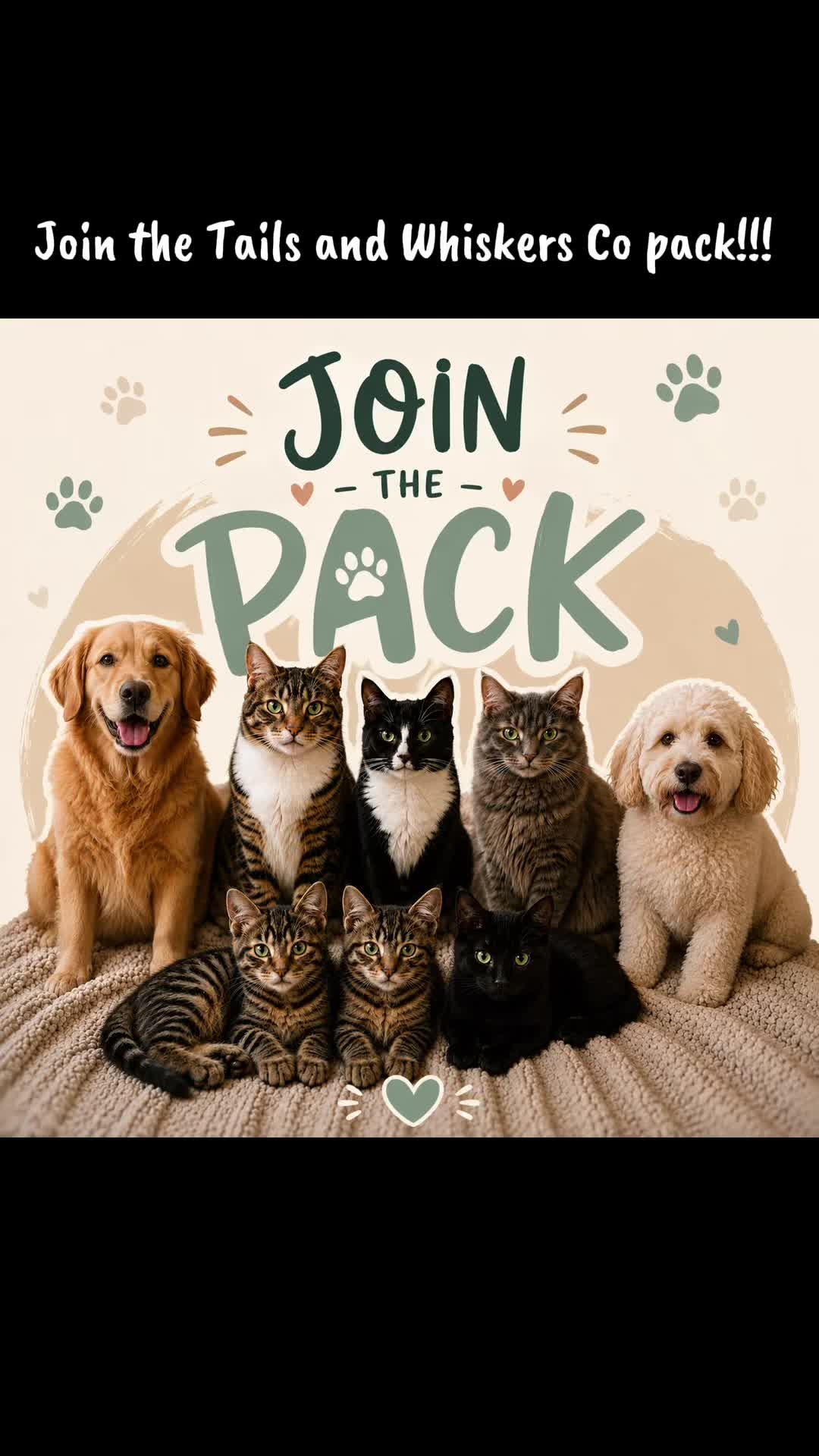 @TailsandWhiskersCo