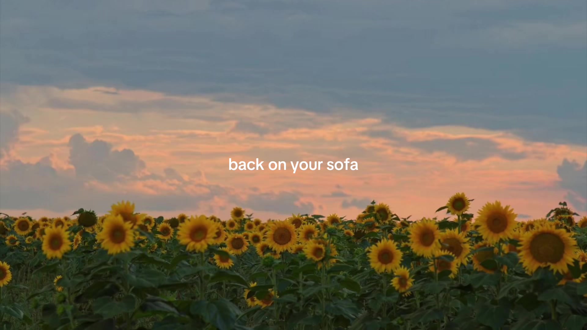@sodjfsodj