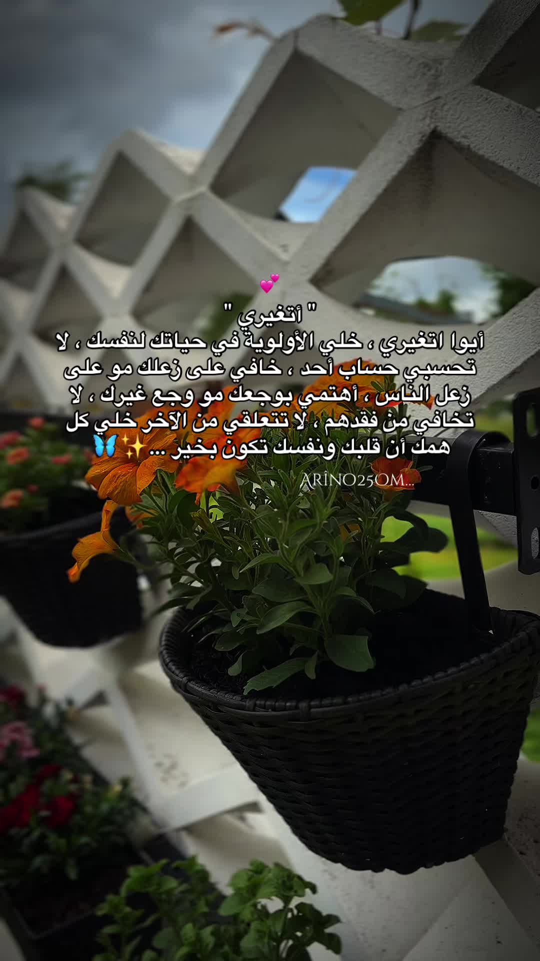 @Ar&icirc;no25Om