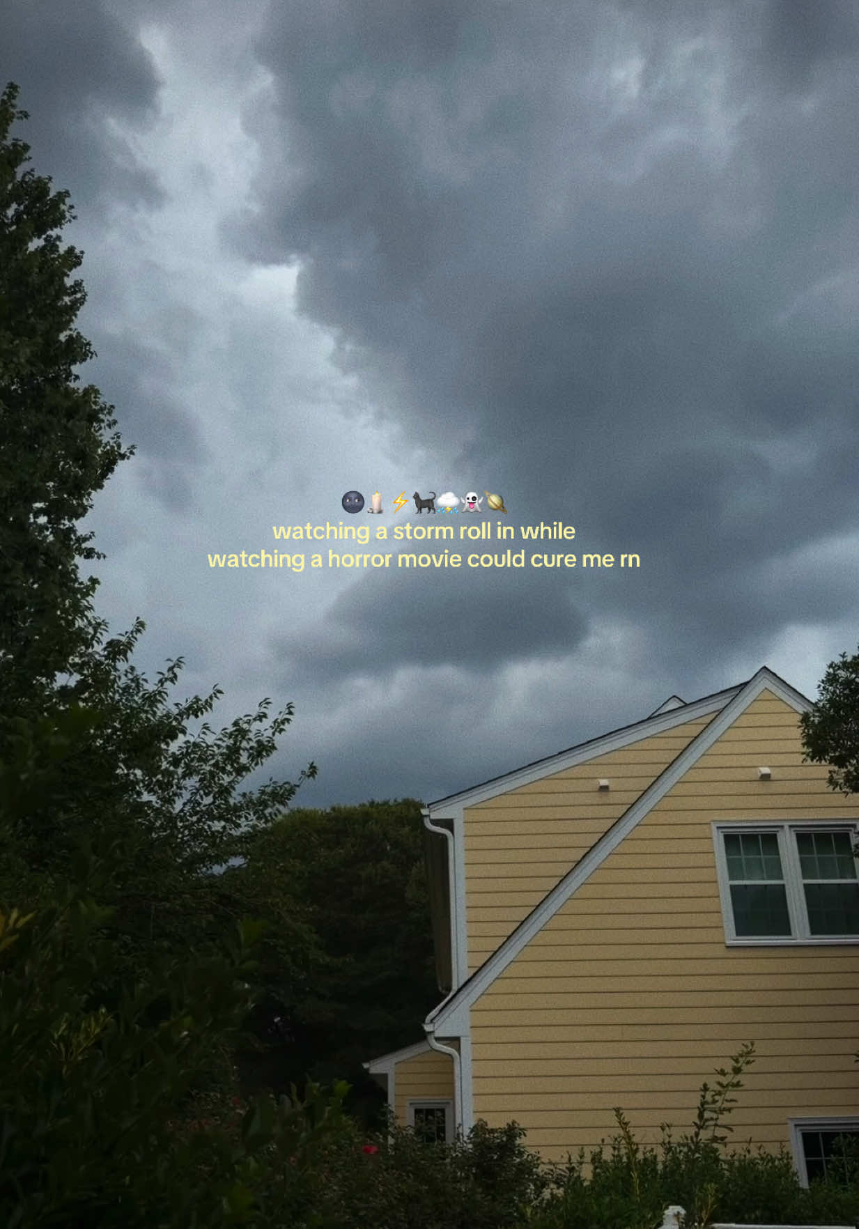 @⚡︎.✮꙳☠︎ 𝕞𝕠𝕝𝕝𝕫 ࿎✩꙳♱☽