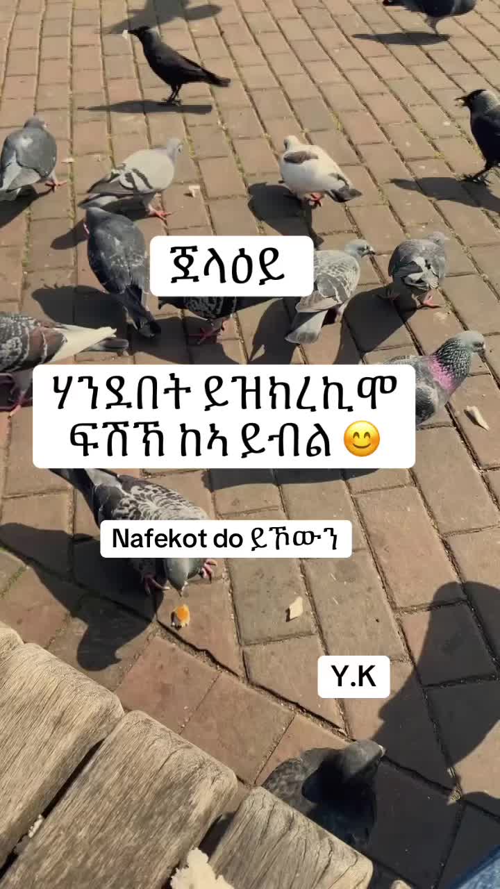 @EritreanStyle 🔥