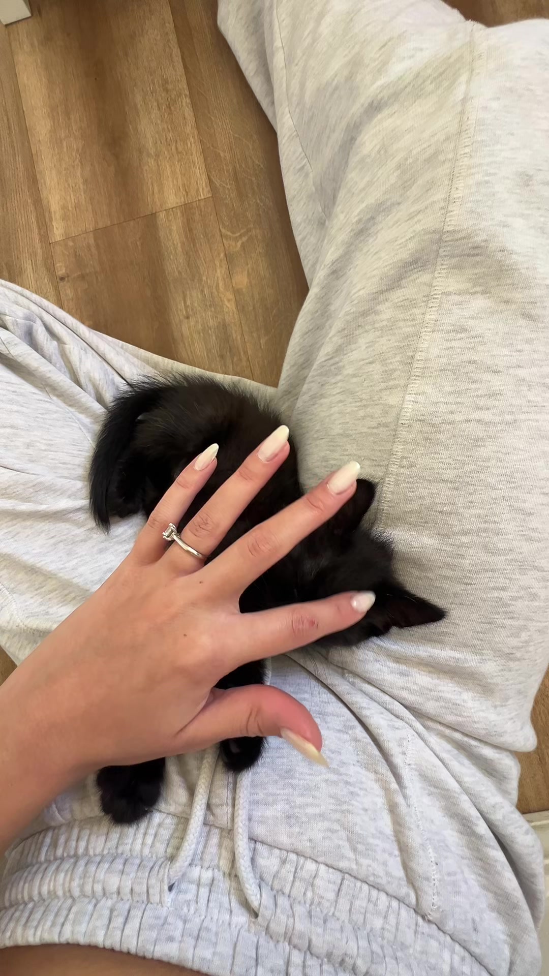 @gabimason_