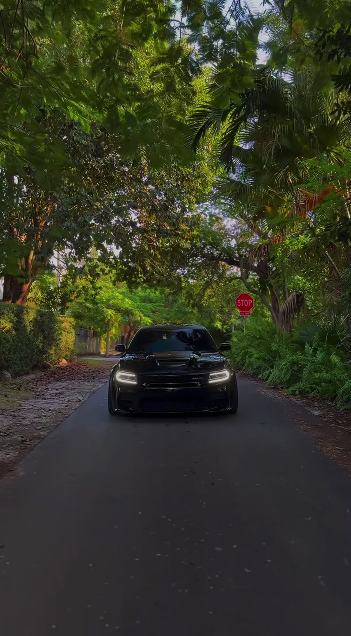 @vperformance