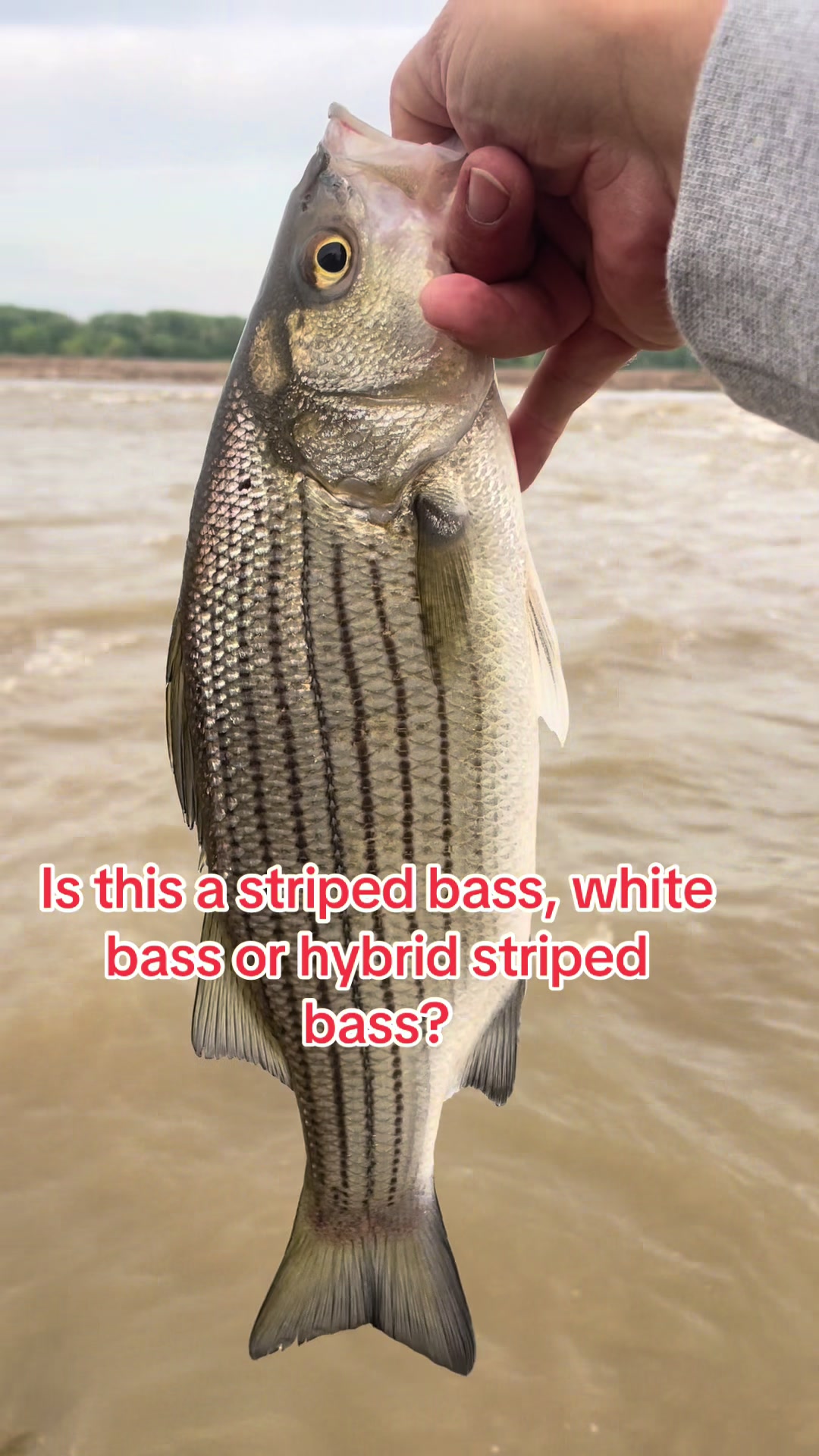 @Kentucky&ensp;Fishing