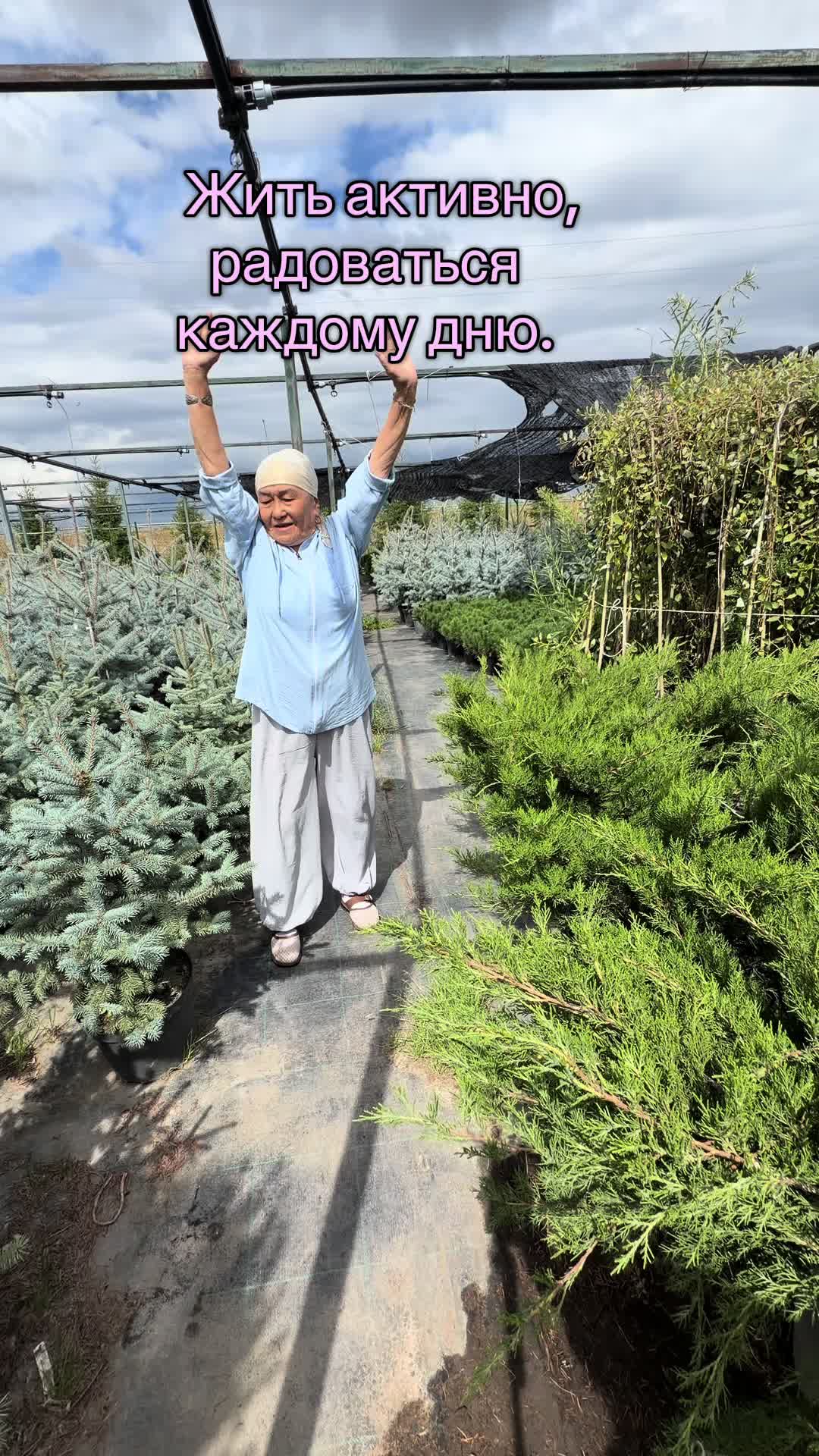 @Tamara Tiktok