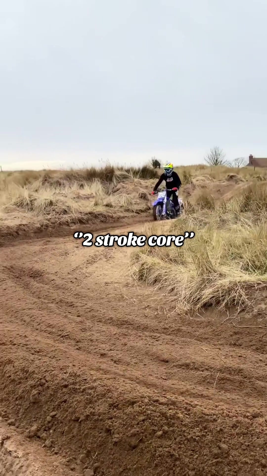 @travis | MX content