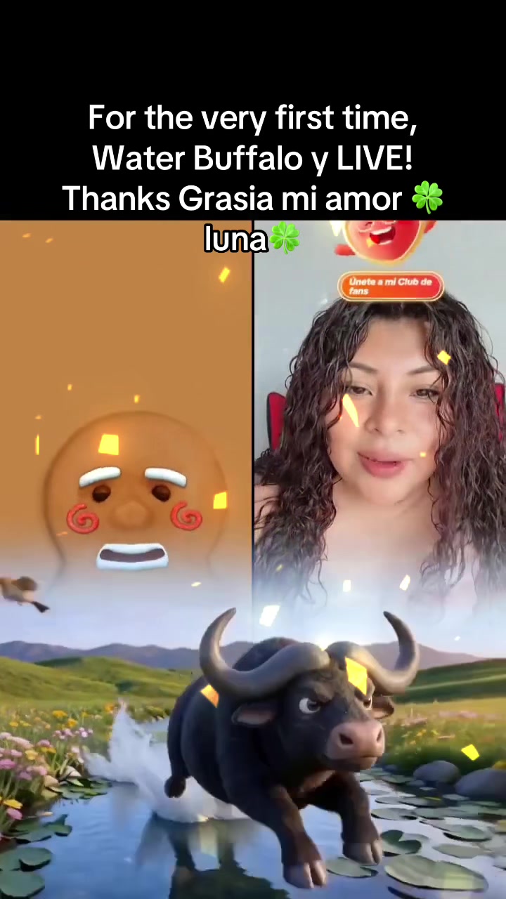@lion