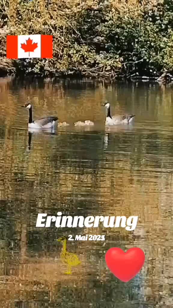 @Sunny