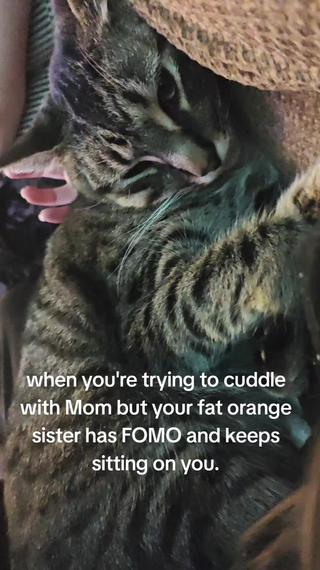 @Ashley Marie
