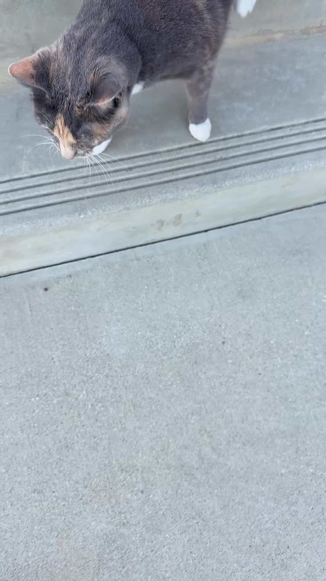 @SebBeLifting
