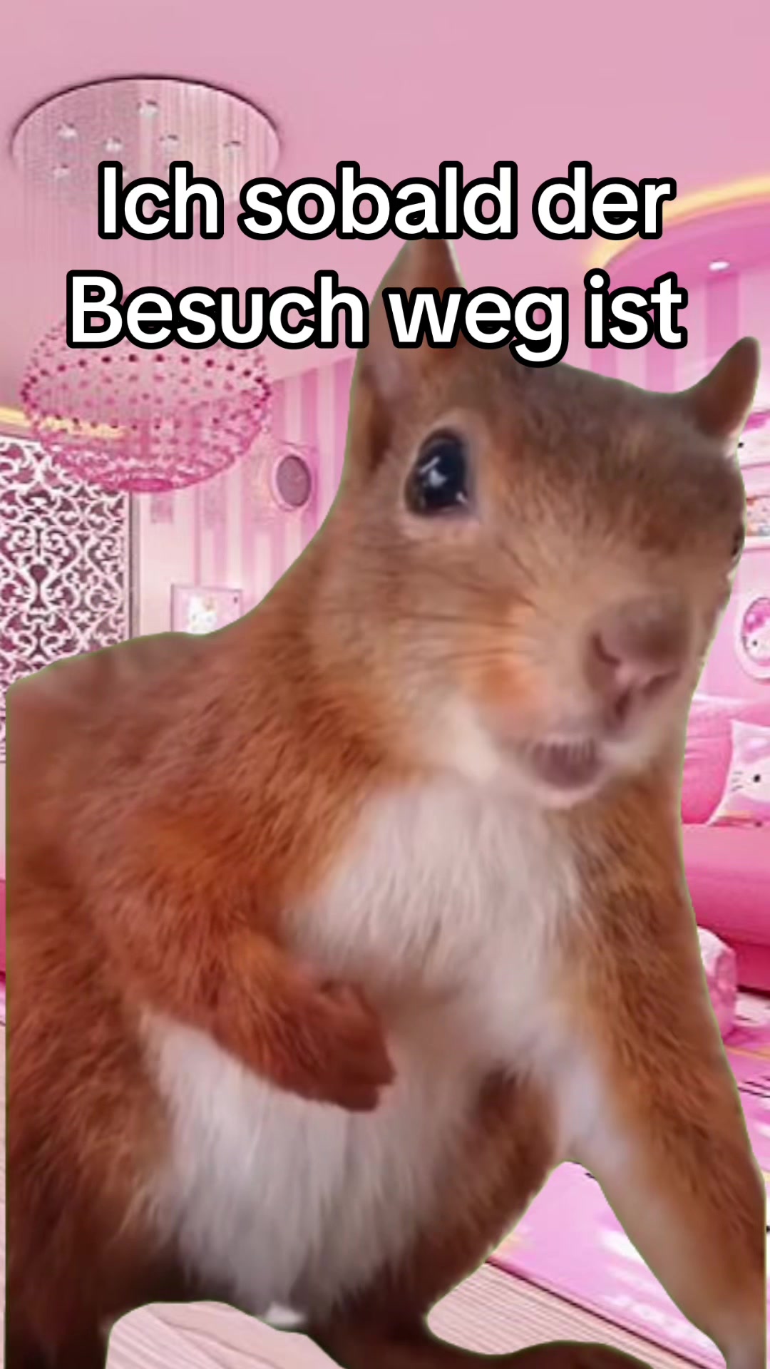 @alessa
