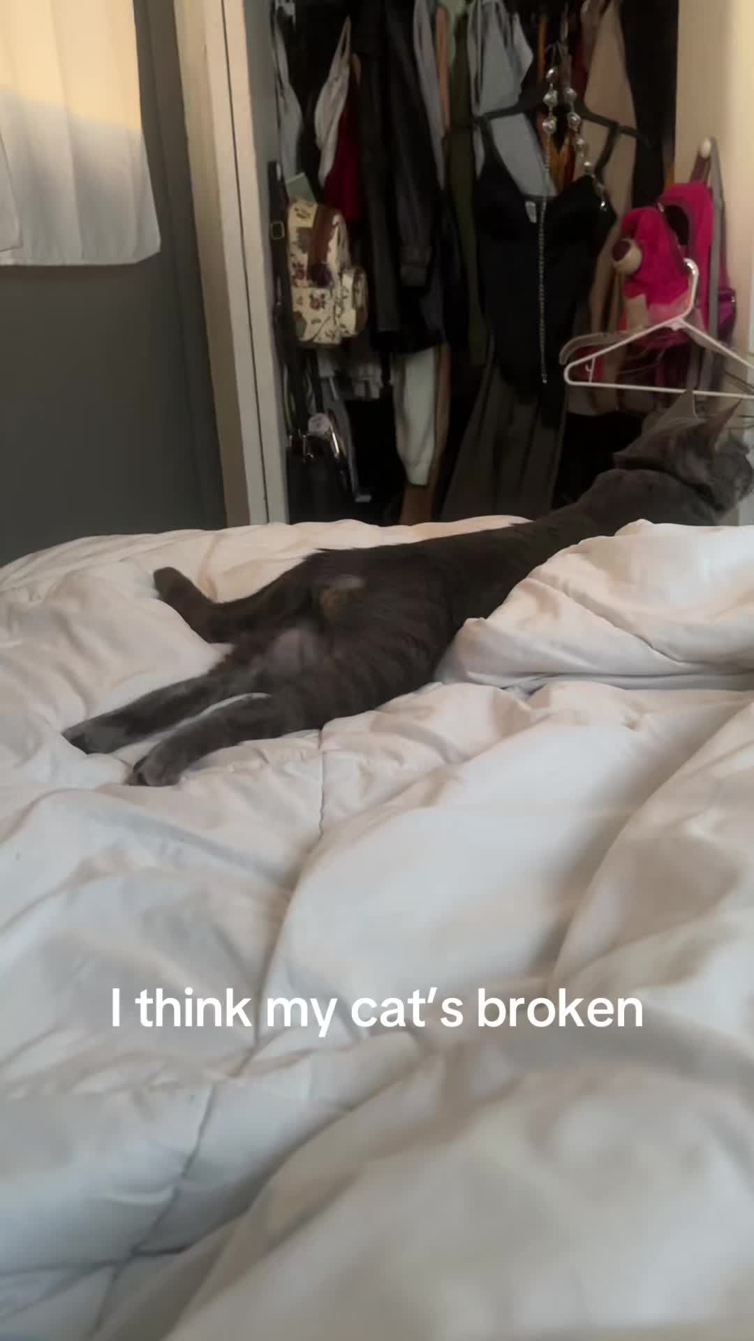 @_Jennerzz_