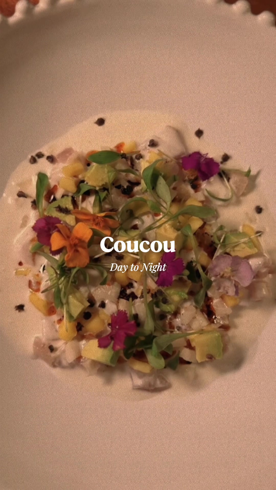 @Coucou