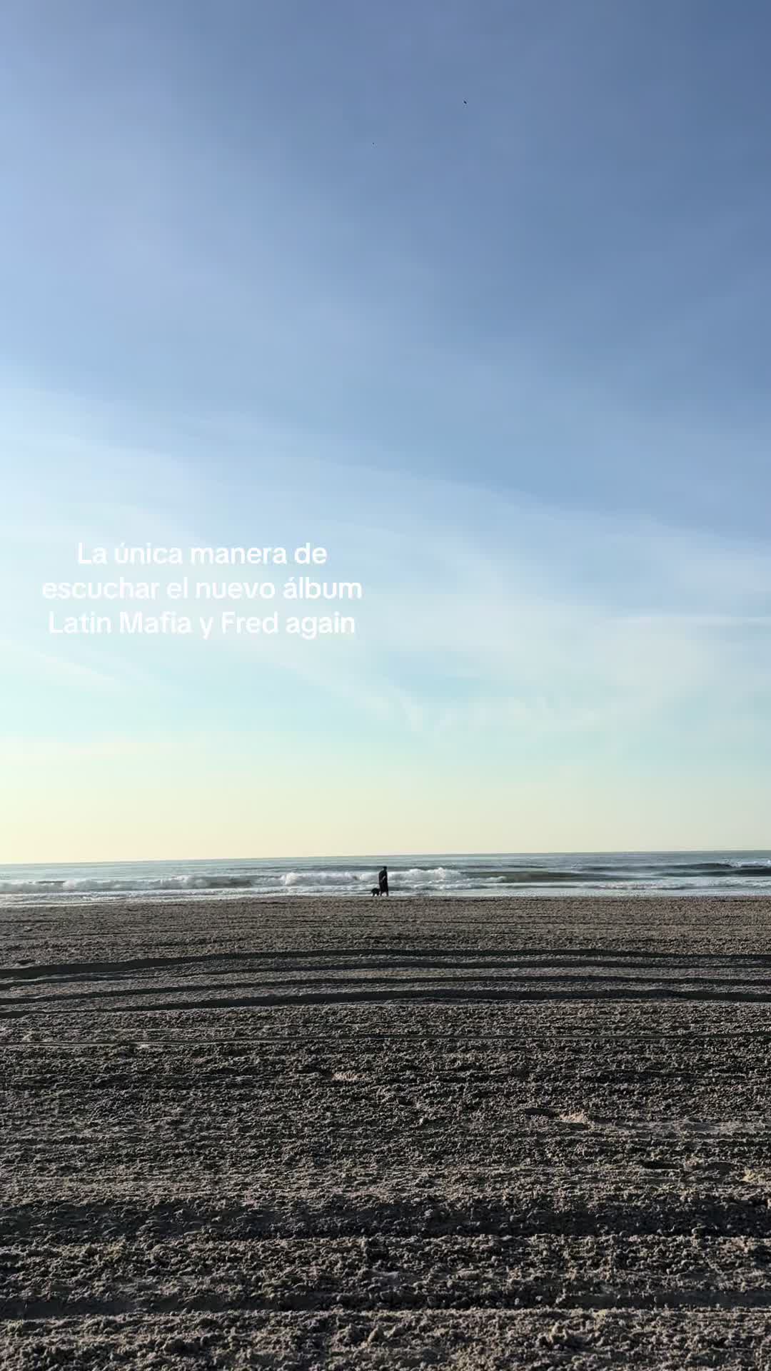 @Les🕷️
