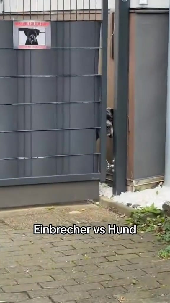 @luca29.7