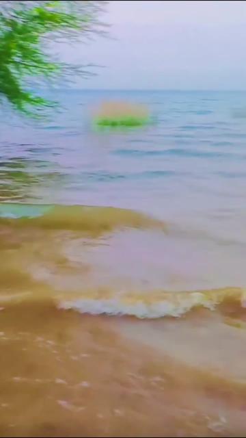 @🦋روح اللہ جان85🦋