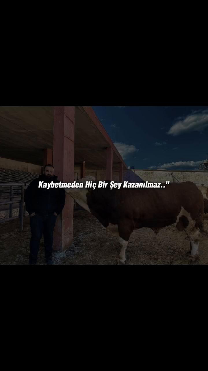 @ONUR AVCI
