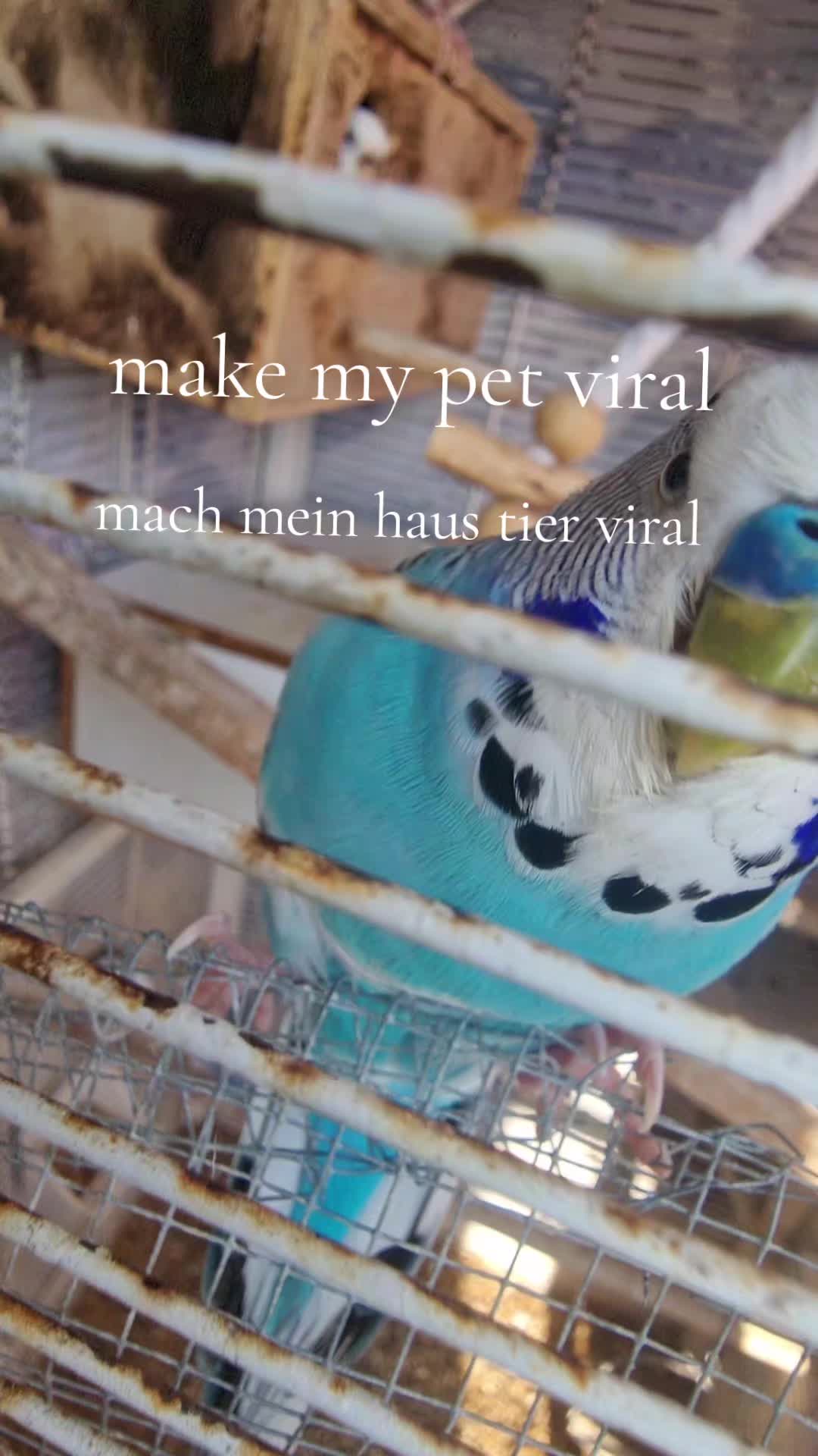 @𝓪𝓿𝓪𝓷𝓭