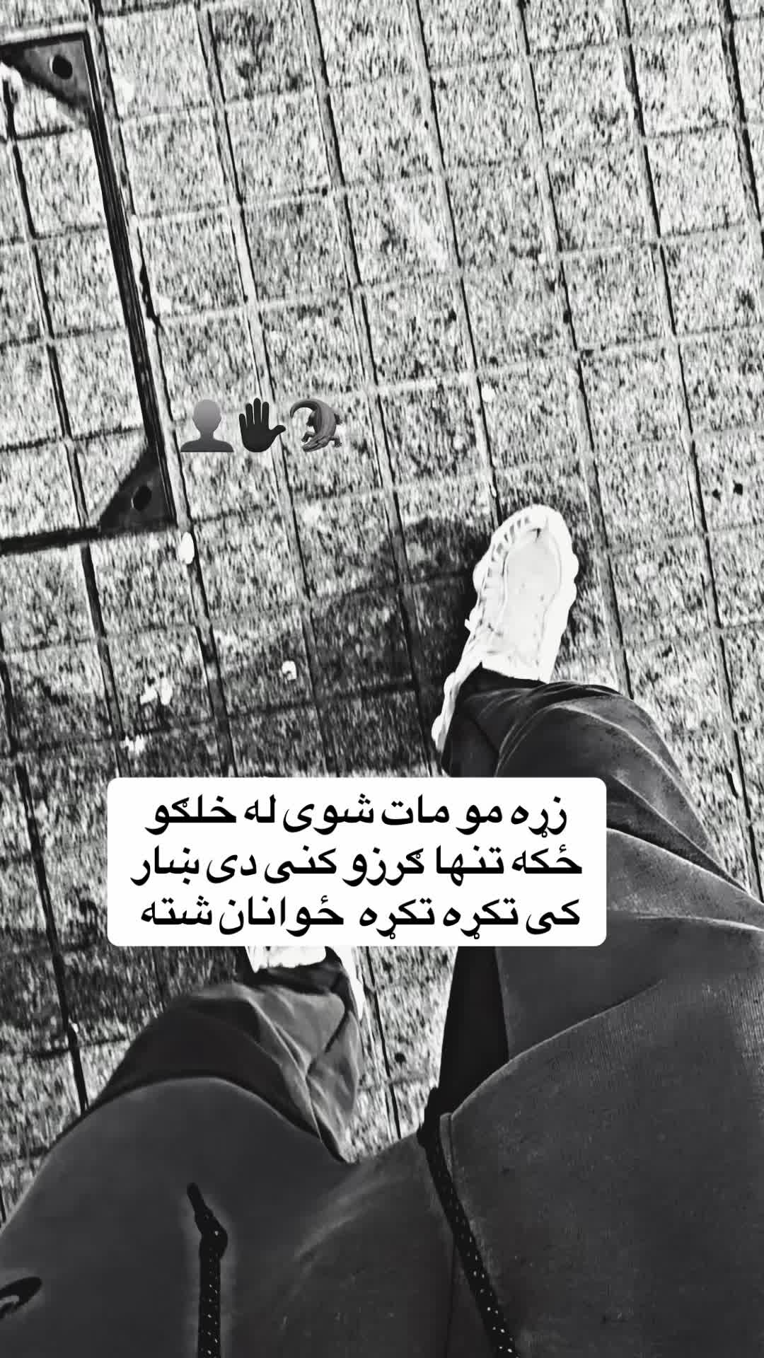 @𓆩•ډّ٘گّــᬼ✋🏿ــرو٘٘ألُِٔ.•𓆪