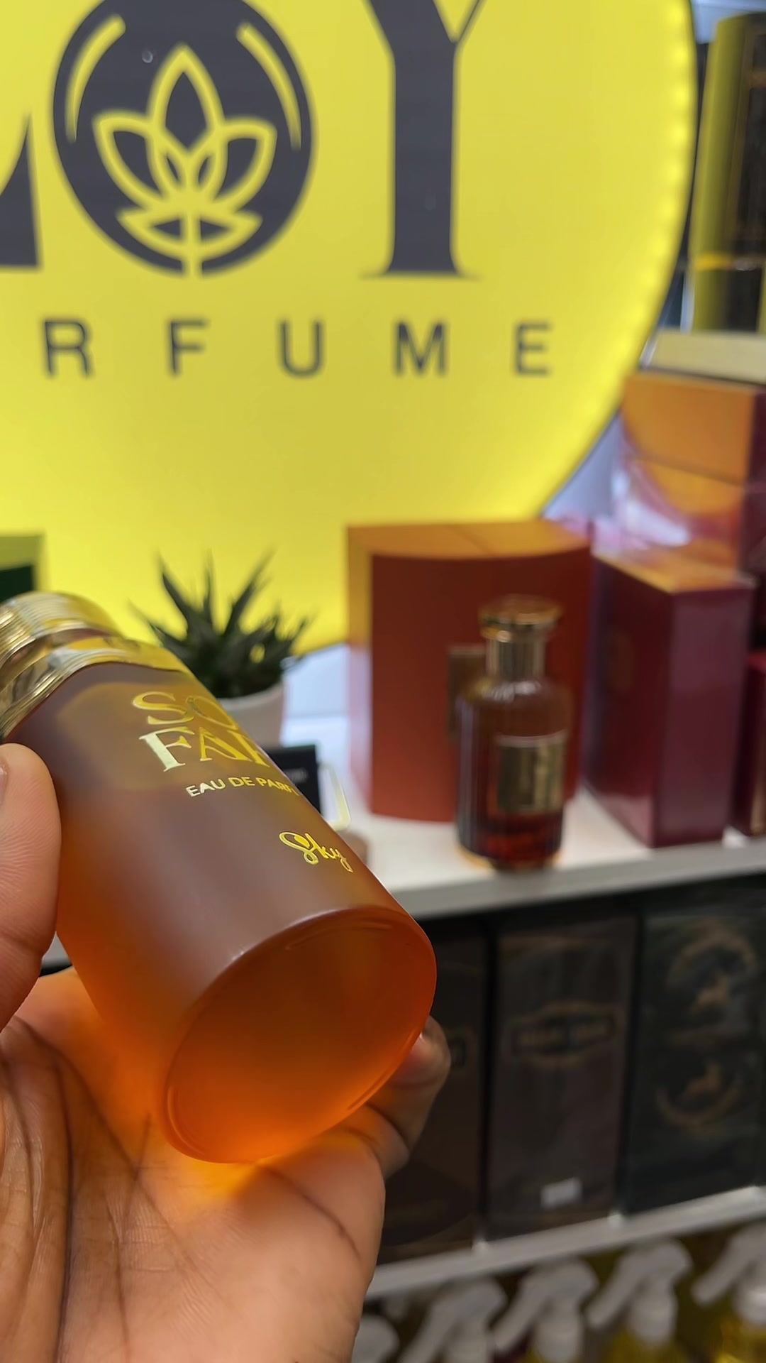 @LOY PERFUME.Com