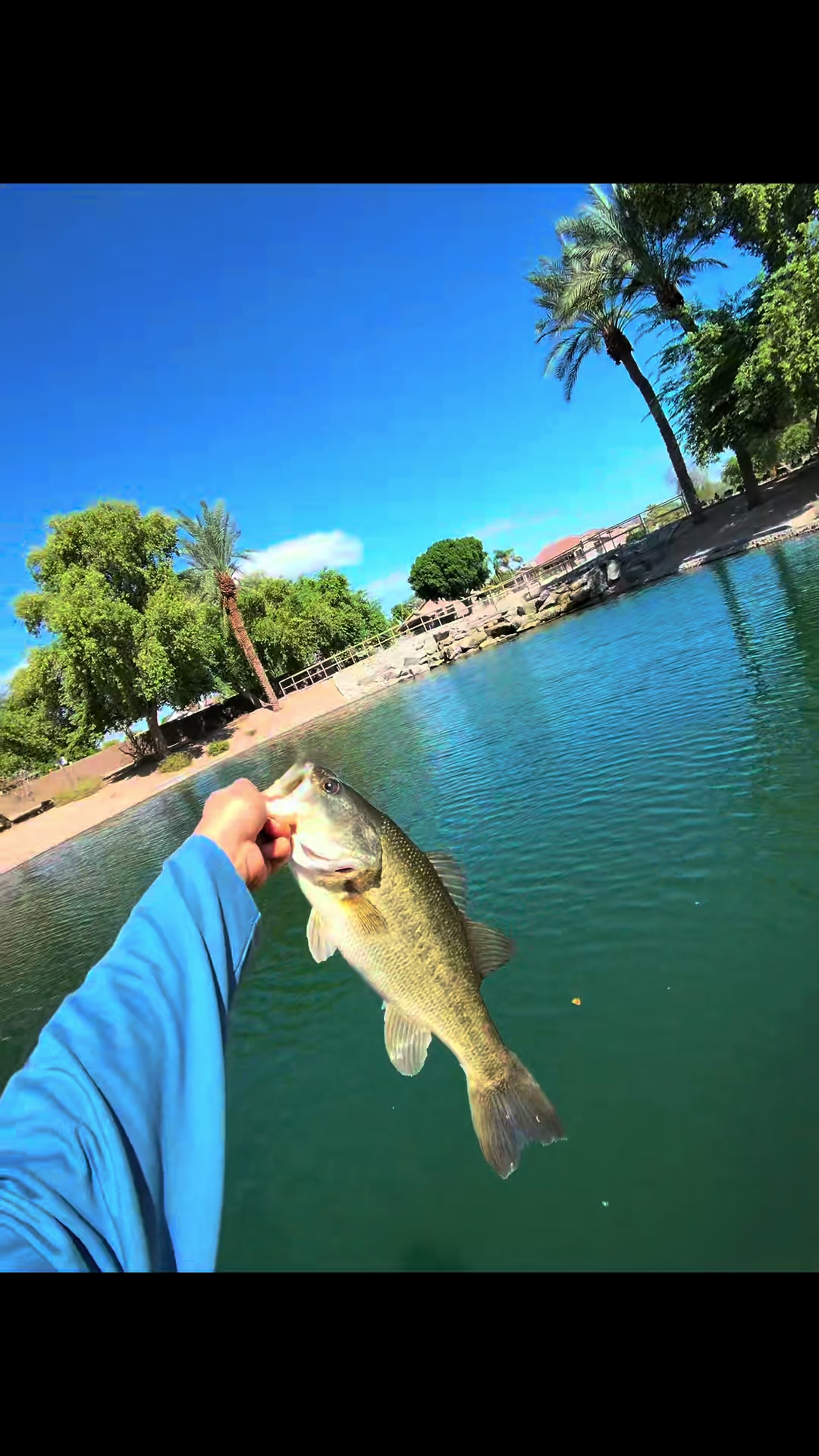 @Luu Nguyen Fishing