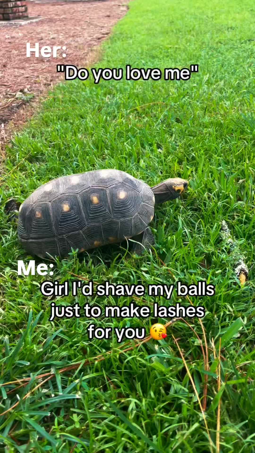 @ernest