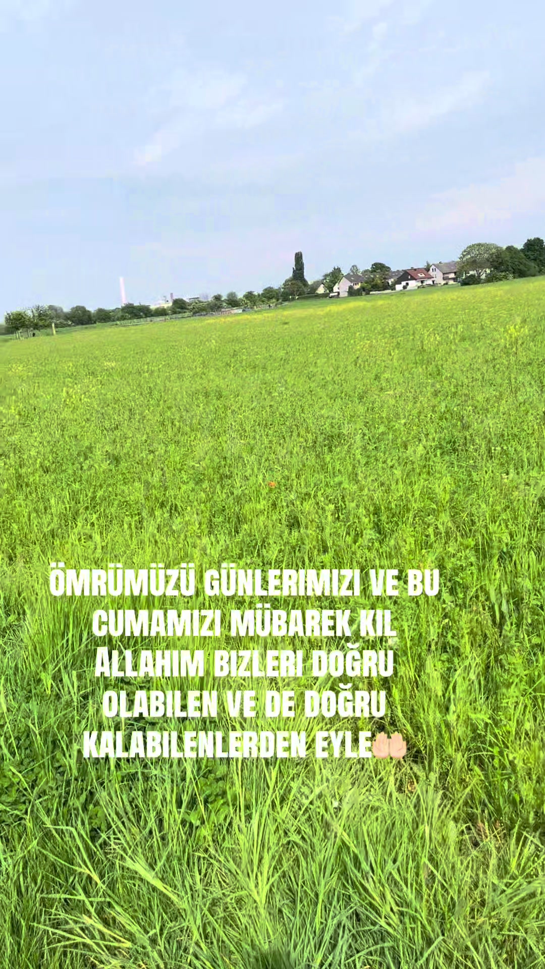 @Ayşe