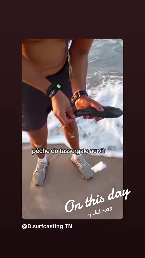 @🇹🇳 D.surfcasting 🇹🇳