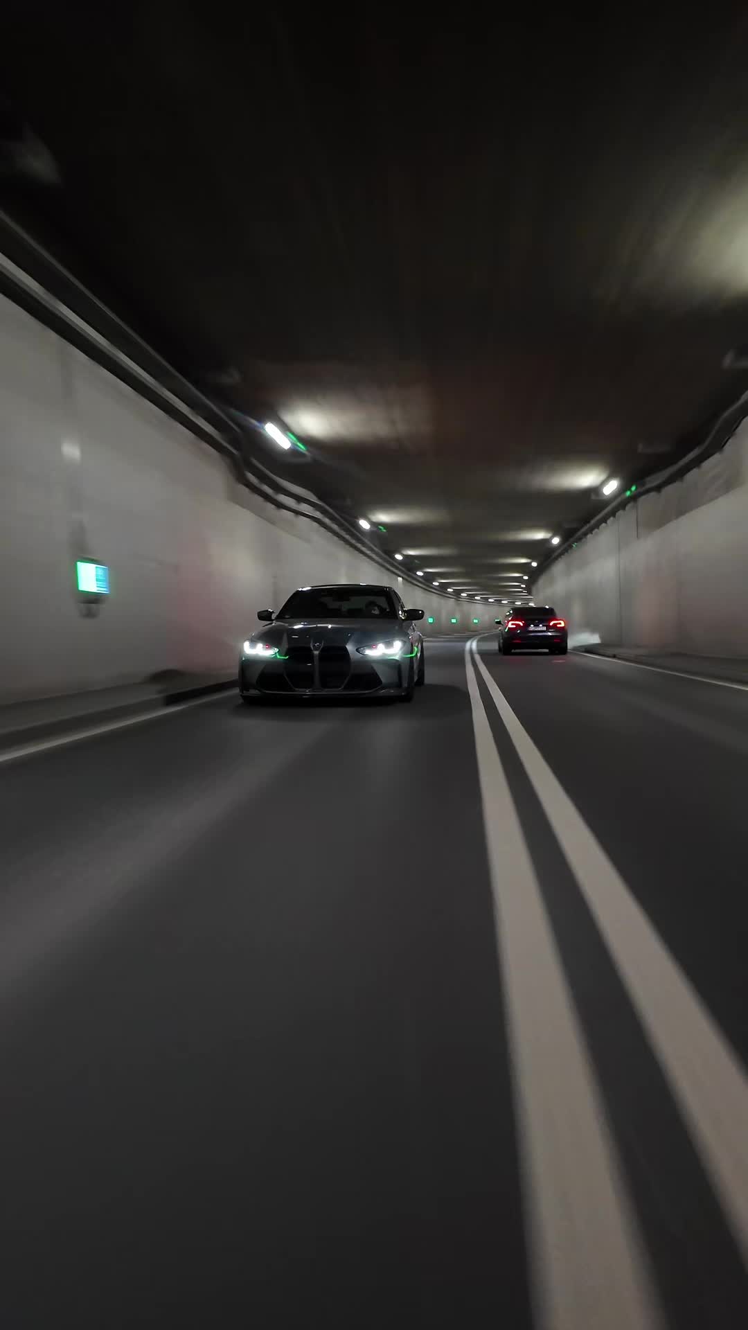 @x56 🦈