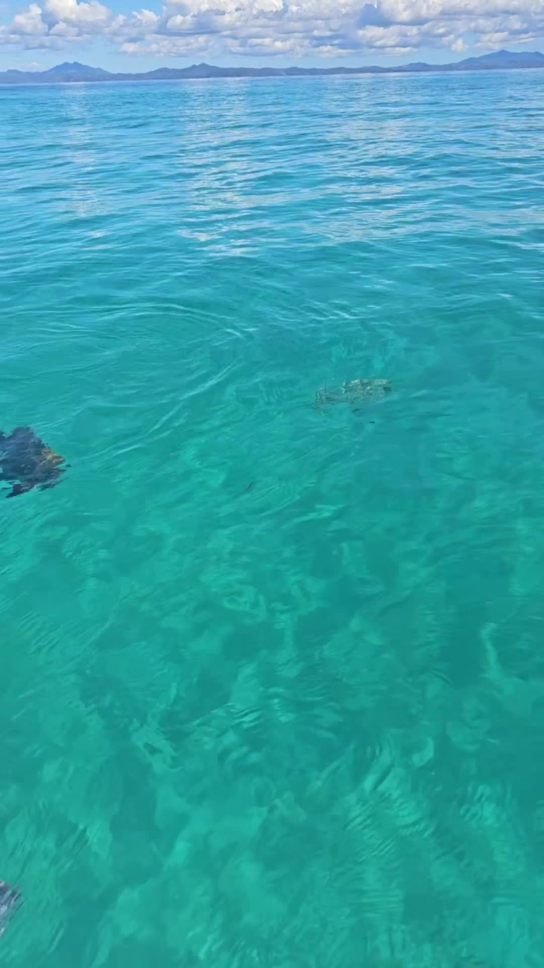 @Francesca Danieli