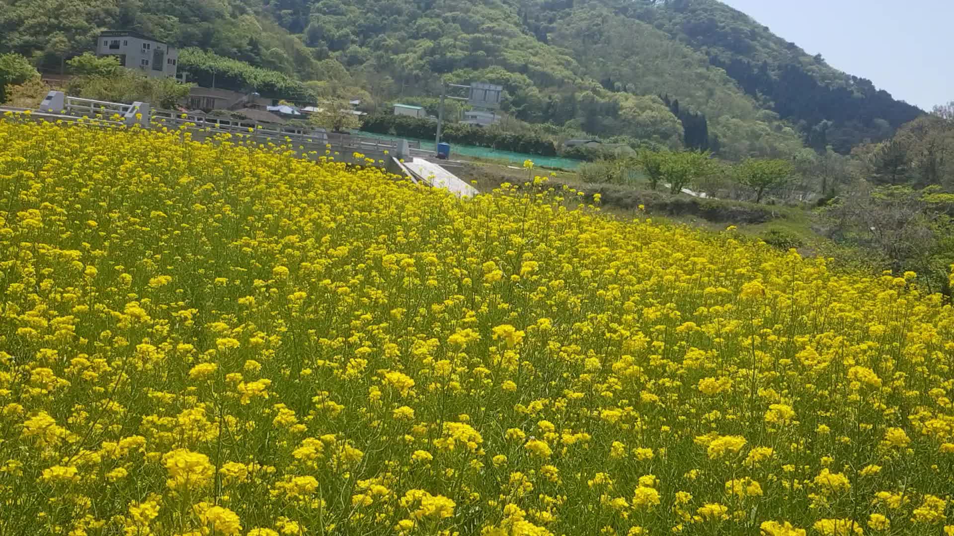 @차박남