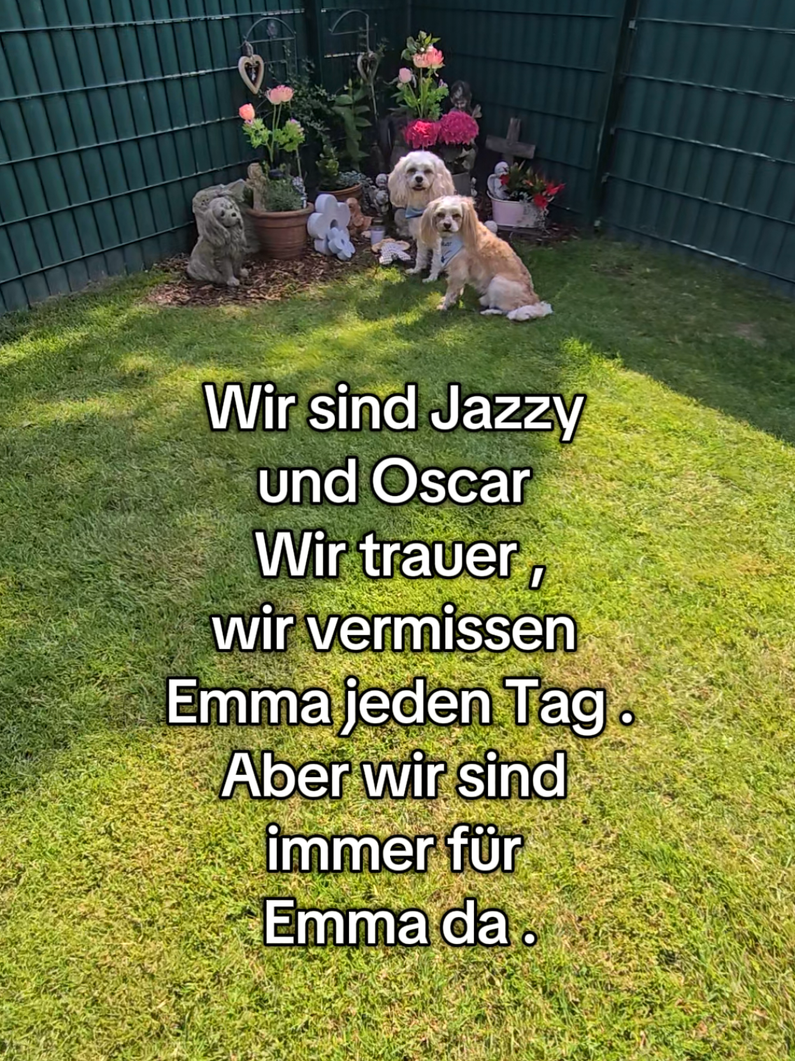 @Jazzy&Oscar's Hundeblog