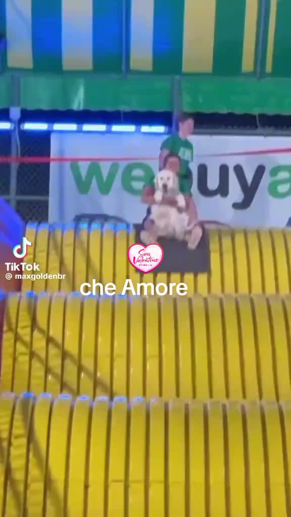 @l uomo tigre 🐯