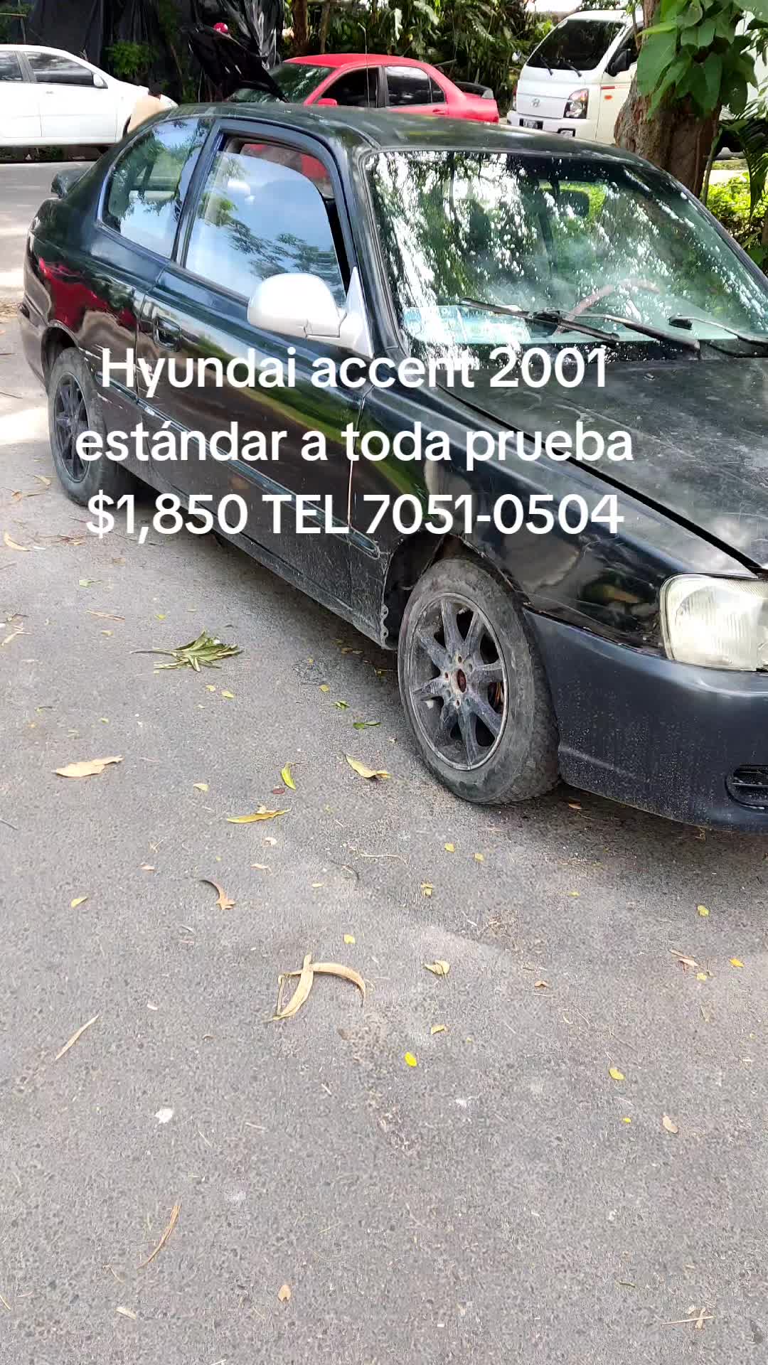 @Kevin Hernández 🇸🇻