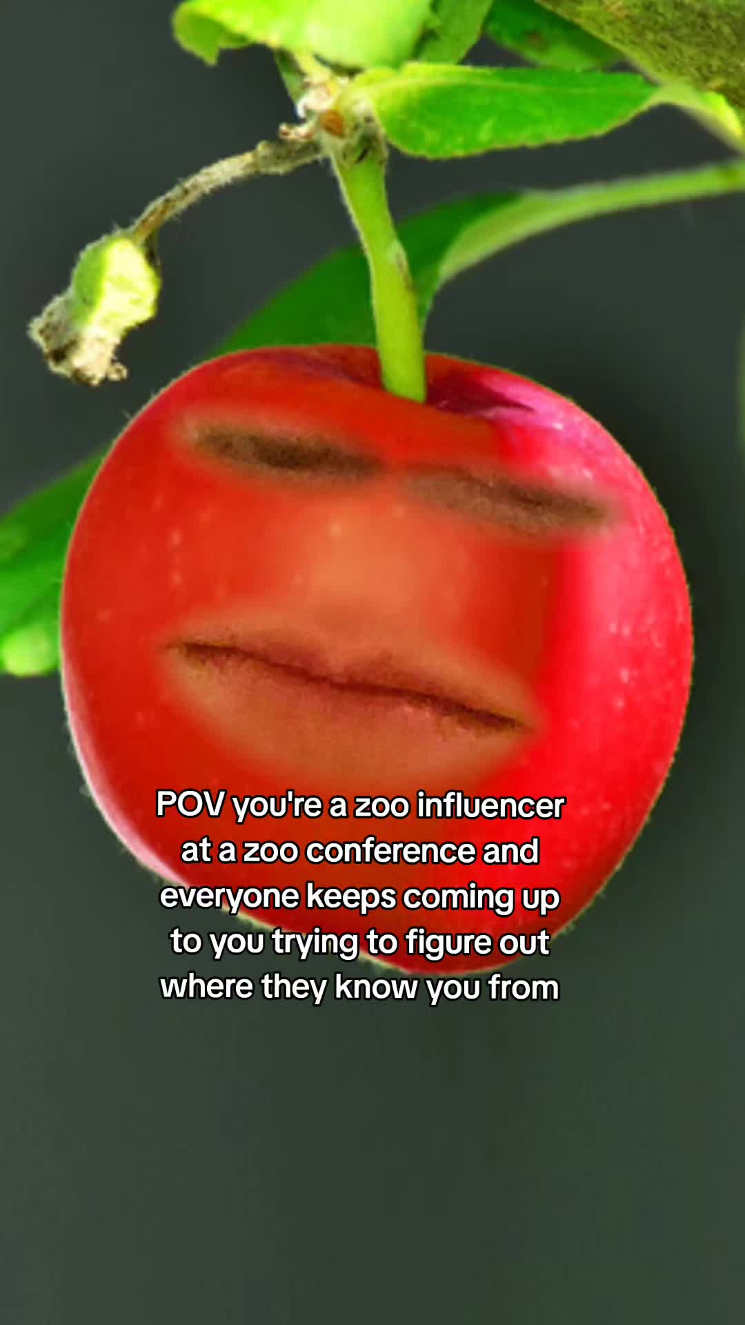 @Zookeeper Melanie