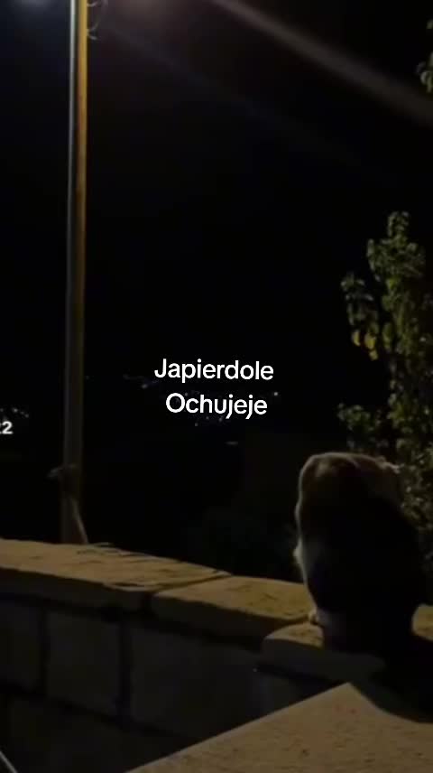 @Kami 🤍🦋